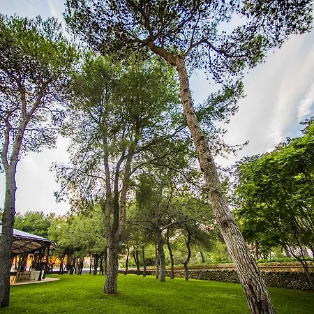 Relais Reggia Domizia 4*